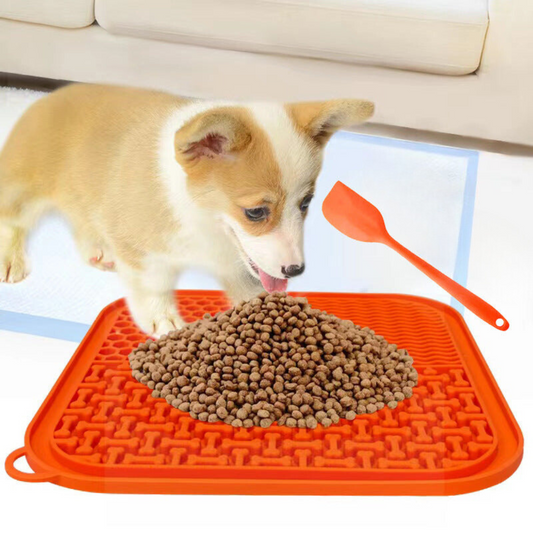 Tapis D'éveil Pour Chiens