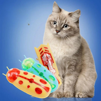 Jouet Cafard Pour Chats Animaux Plus