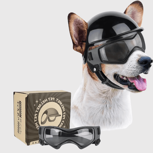 Casque de moto chien avec des lunettes Colorés Boutique Chien | Paradis Chien
