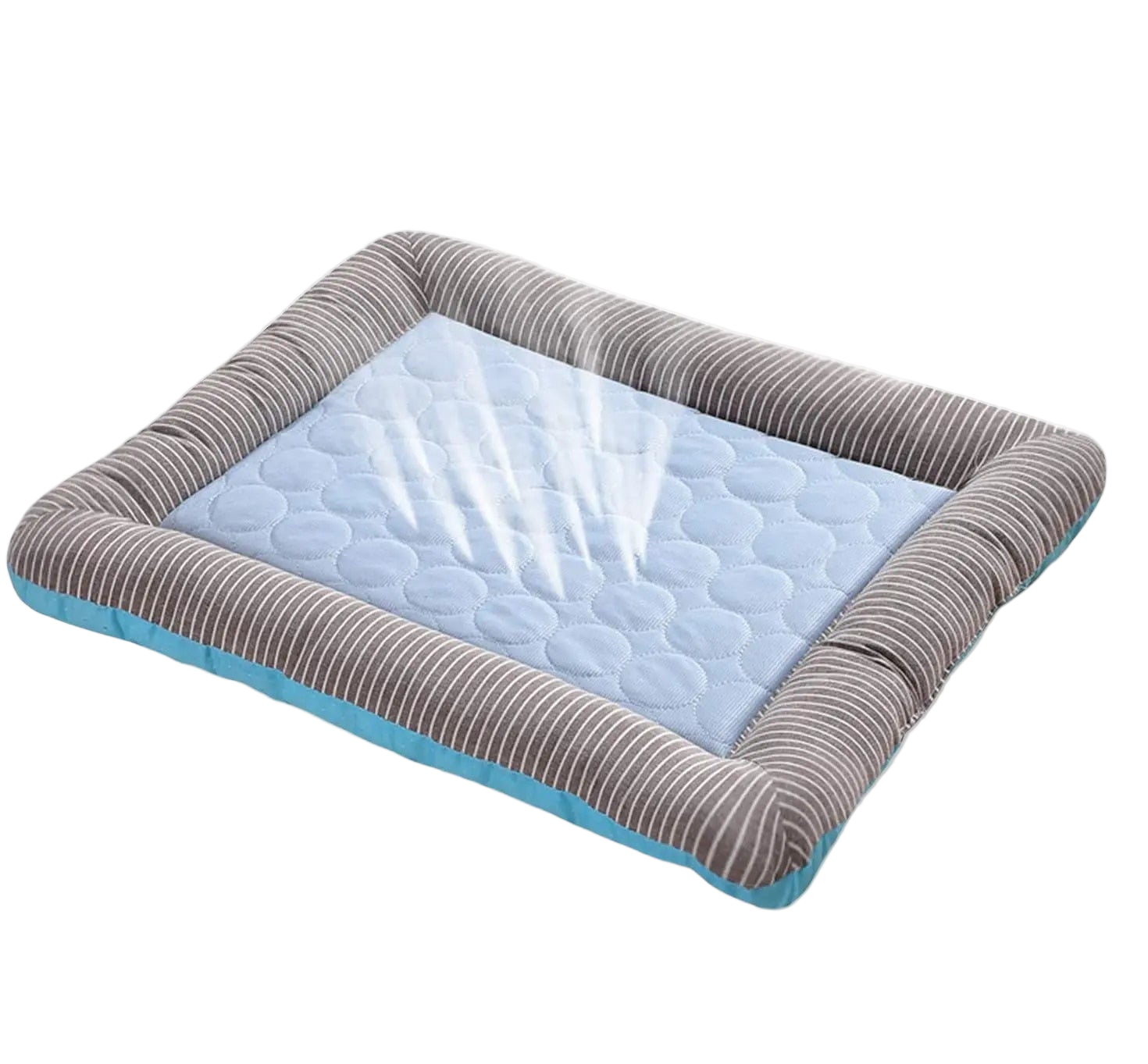 Tapis Réfrigérant pour Animaux Domestiques Animaux Plus