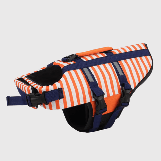 Gilet de sauvetage chien rayé Orange