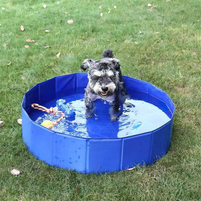 Piscine pour chien ultra solide et résistante