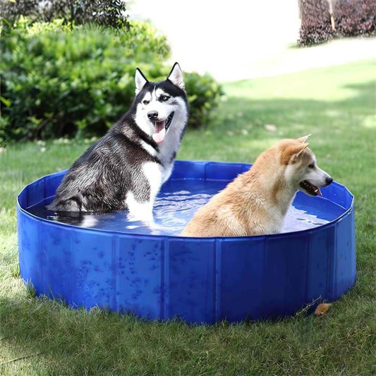 Piscine pour chien ultra solide et résistante