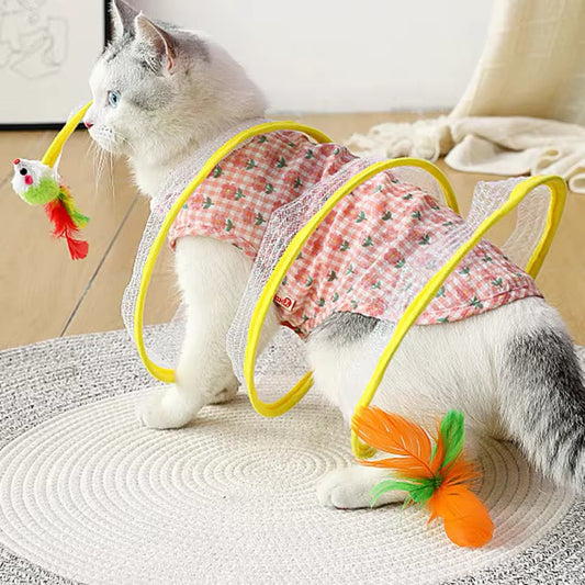 Spirale Pour Chats