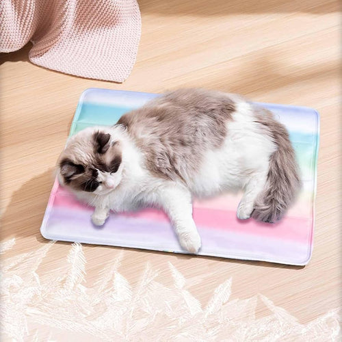 Tapis Réfrigérant Arc-en-ciel Animaux Plus