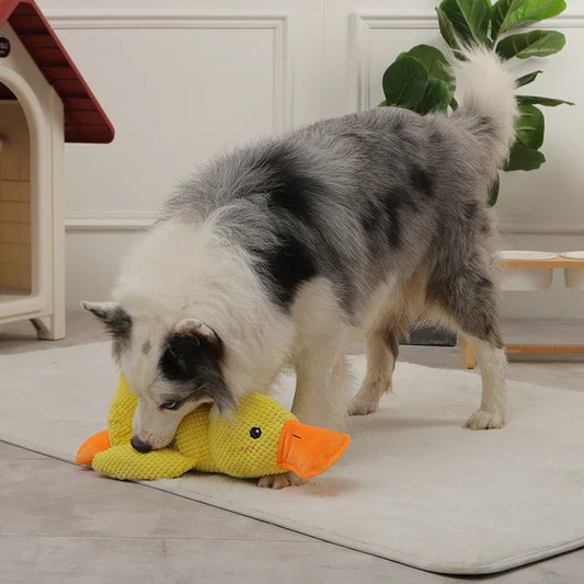 Canard Anti-stress - Doudou Pour Chiens