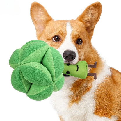 Brocoli À Renifler - Jouet Interactif Pour Friandises
