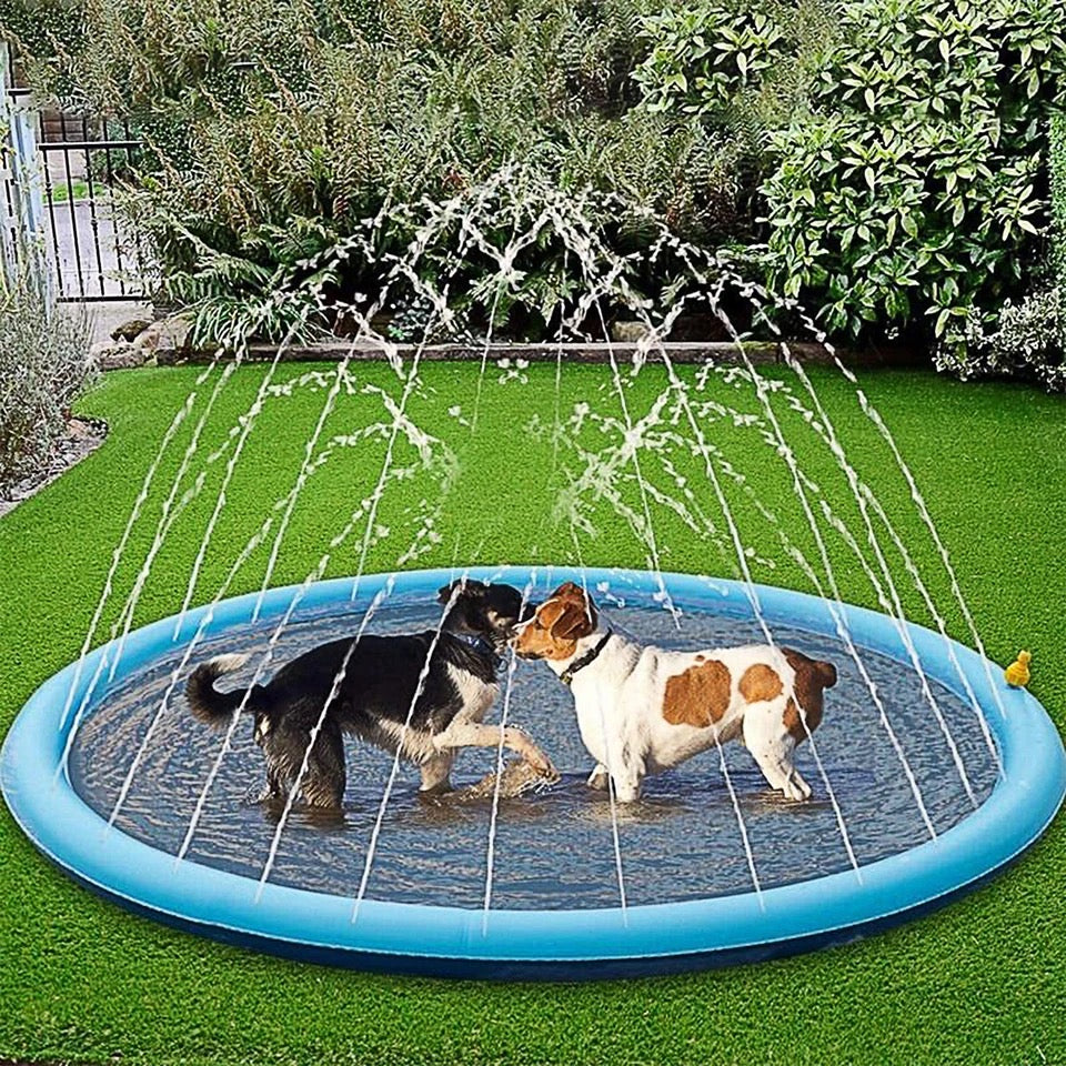 Fontaine Pour Chiens - Jouets D'été