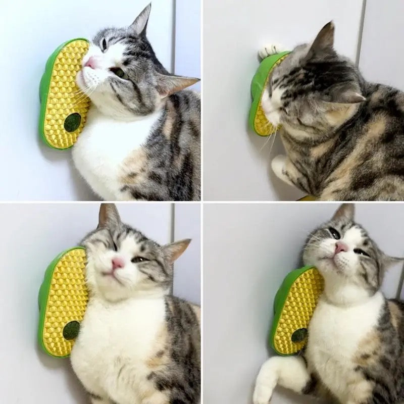 Herbe À Chat Avec Brosse