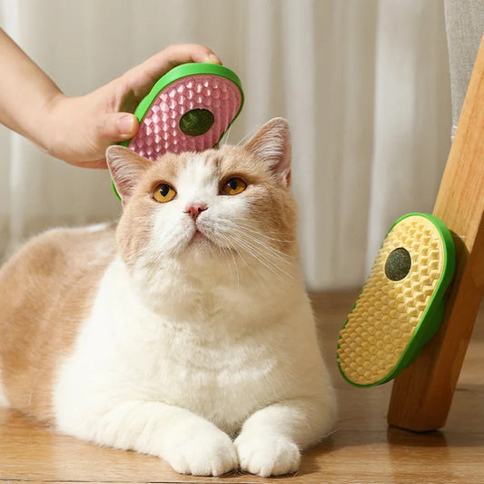 Herbe À Chat Avec Brosse