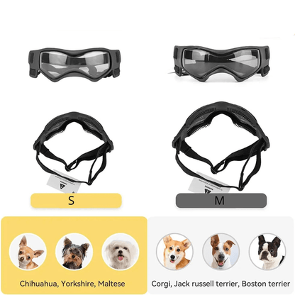 Lunette de protection pour petit chien