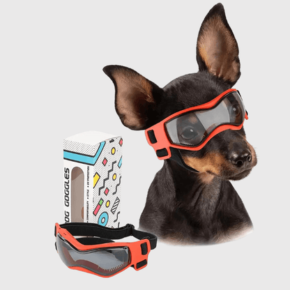 Lunette de protection pour petit chien