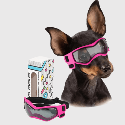 Lunette de protection pour petit chien