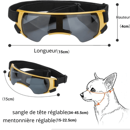 Lunette de protection pour petit chien