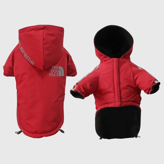 Manteau pour chien grand froid