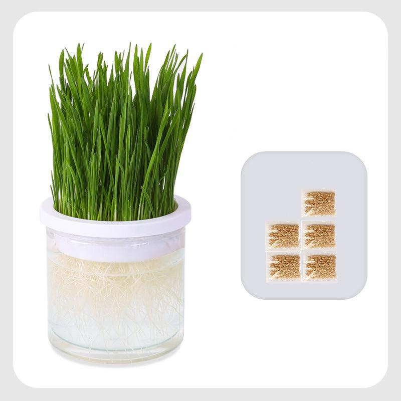 Pot D'herbe À Chat Facile D'utilisation Animaux Plus