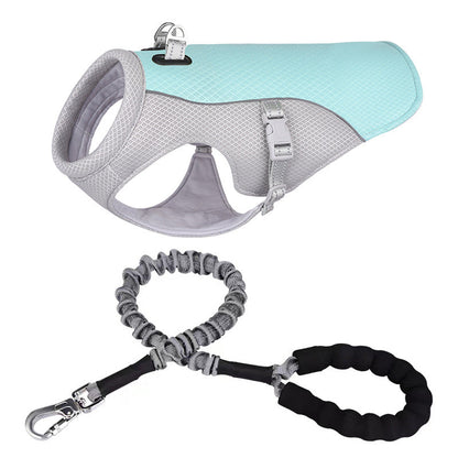 Harnais pour Chien Animaux Plus