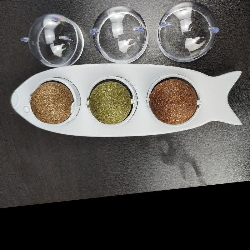 Herbe À Chat À Lécher Animaux Plus