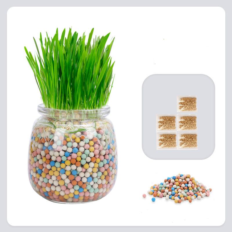 Pot D'herbe À Chat Facile D'utilisation Animaux Plus