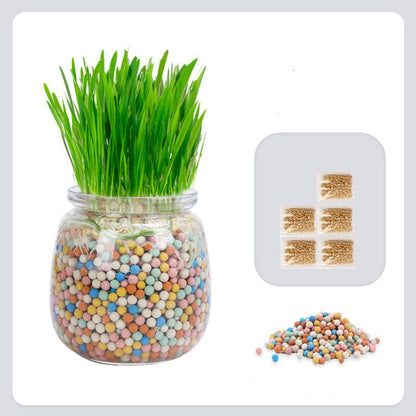 Pot D'herbe À Chat Facile D'utilisation Animaux Plus