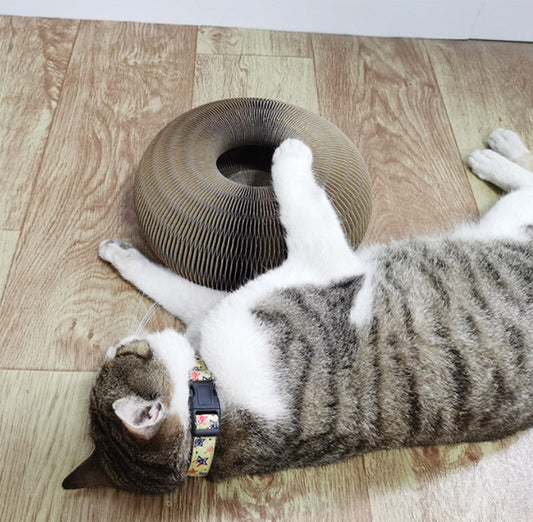Jouets balle et griffes pour chats