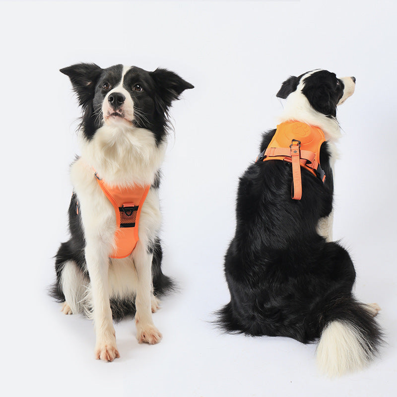 Harnais Et Laisse Anti-traction 2 En 1 Confortable Pour Chien