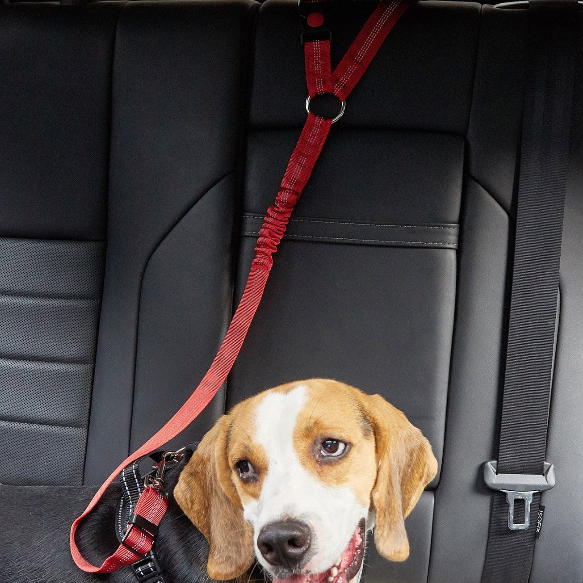 Ceinture De Sécurité Pour Voiture
