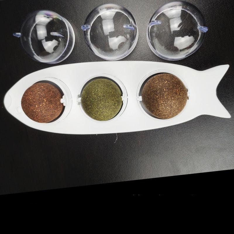 Herbe À Chat À Lécher Animaux Plus