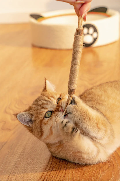 Bâtonnets De Nettoyage Des Dents Kitty