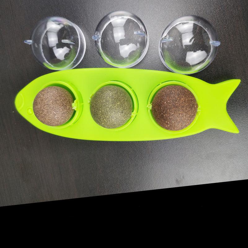 Herbe À Chat À Lécher Animaux Plus