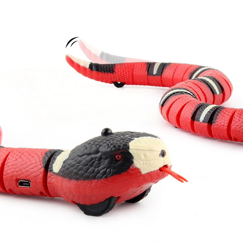 Snakey - Jouet Interactif Pour Chats