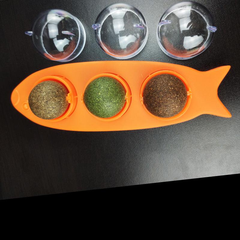 Herbe À Chat À Lécher Animaux Plus