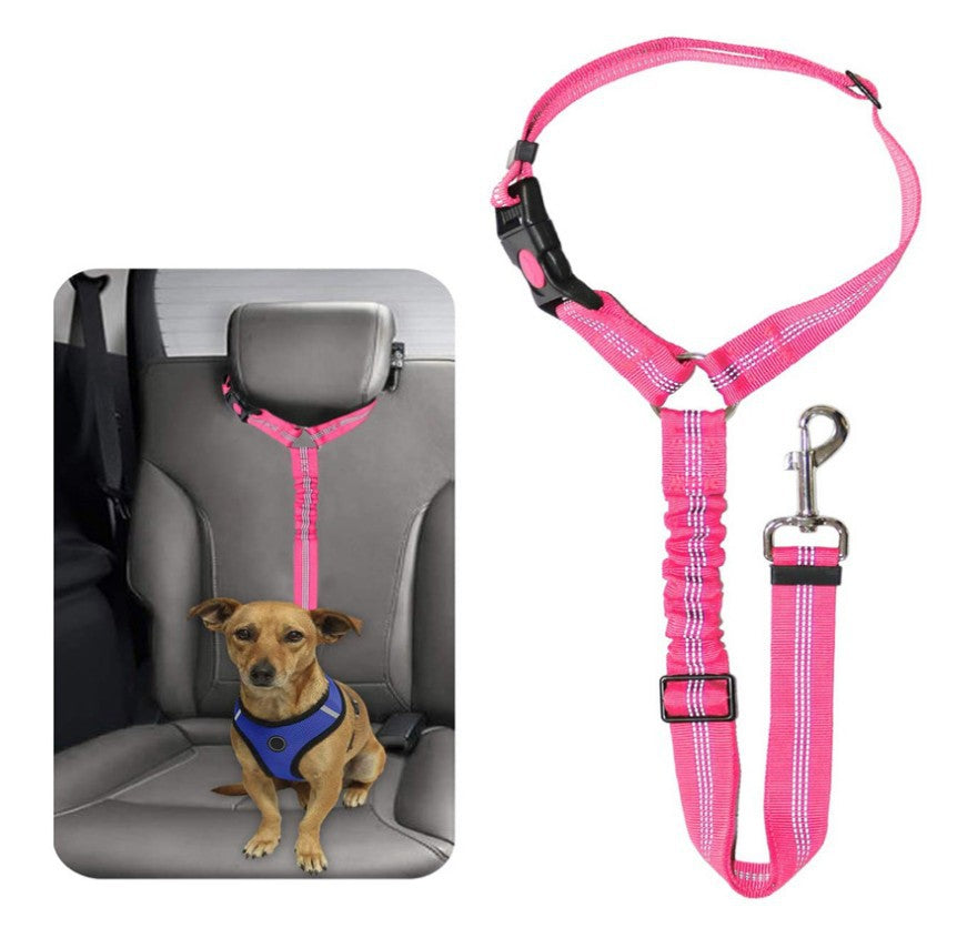 Ceinture de Sécurité pour Voiture Animaux Plus