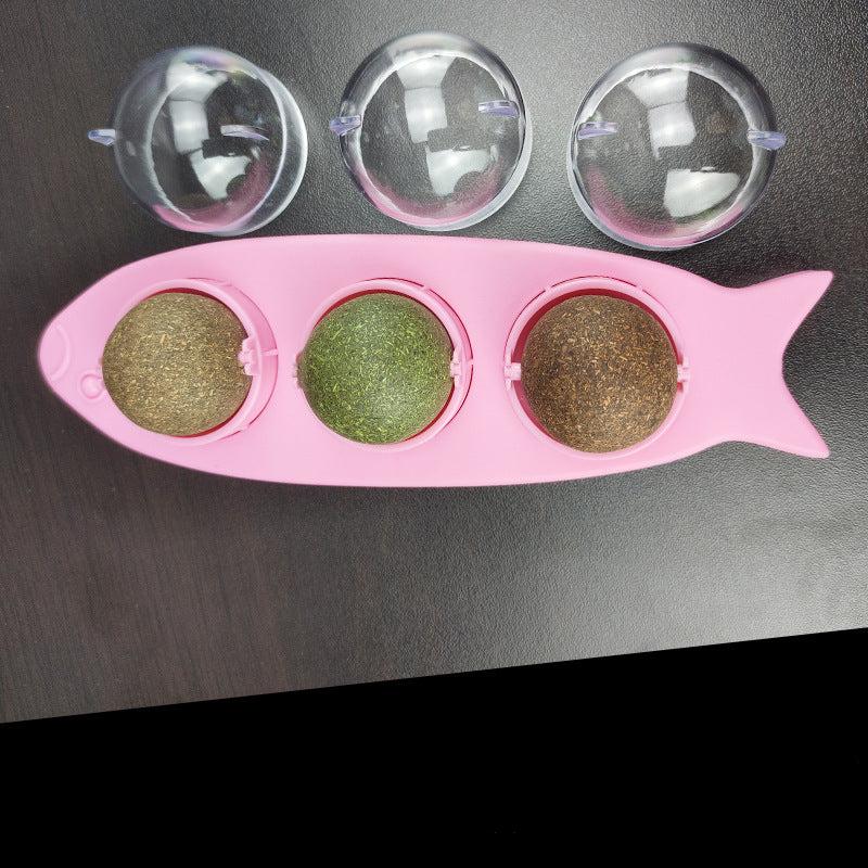 Herbe À Chat À Lécher Animaux Plus