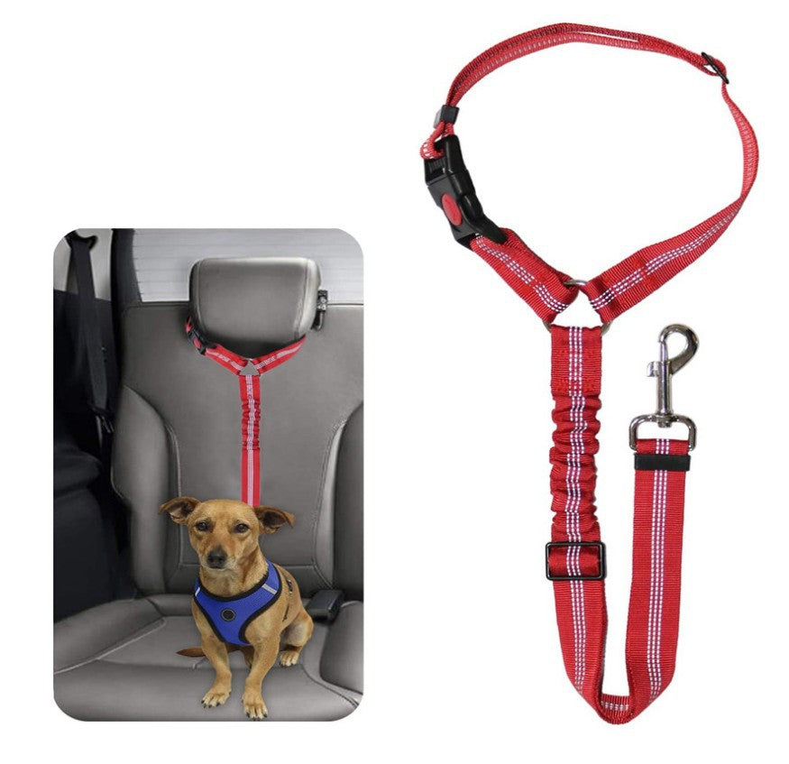 Ceinture de Sécurité pour Voiture Animaux Plus