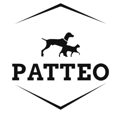 Patteo