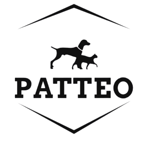 Patteo
