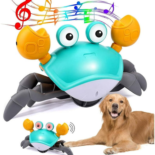 Crabe Dansant - Jouet Interactif Pour Chiens