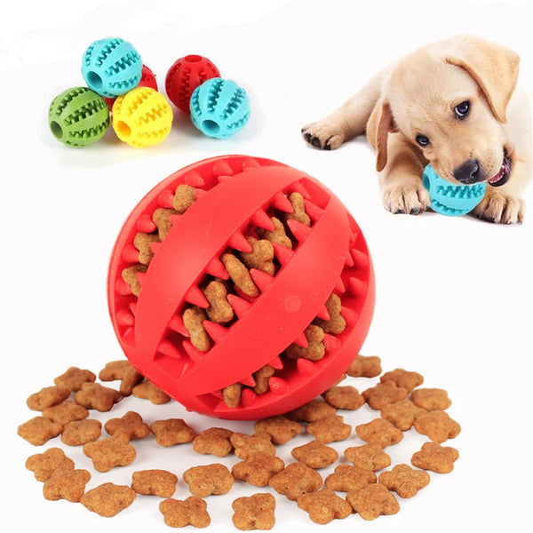Balle À Mâcher Pour Chien Avec Friandises Et Nettoyage Des Dents