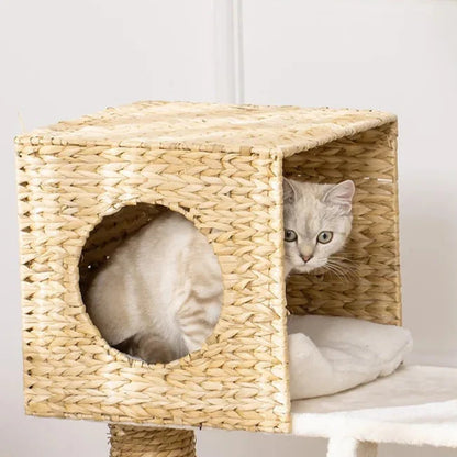Arbre à Chat