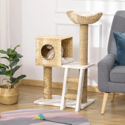 Arbre à Chat
