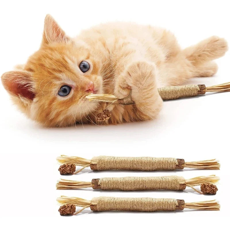 Bâtonnets De Nettoyage Des Dents Kitty