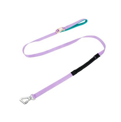 Harnais Anti-traction pour Chiens avec Laisse Réglable Animaux Plus