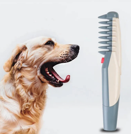 Tondeuse Électrique Pour Chiens Et Chats