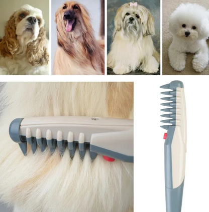 Tondeuse Électrique Pour Chiens Et Chats