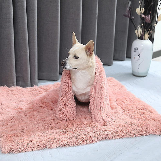 Couverture Pour Chien