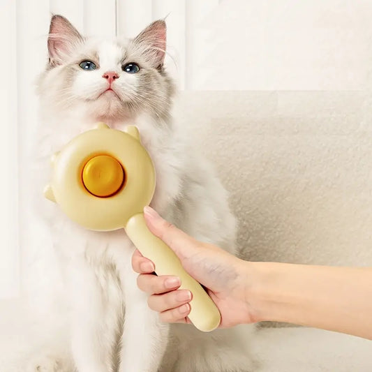 Brosse À Cheveux Pour Chats Pratique