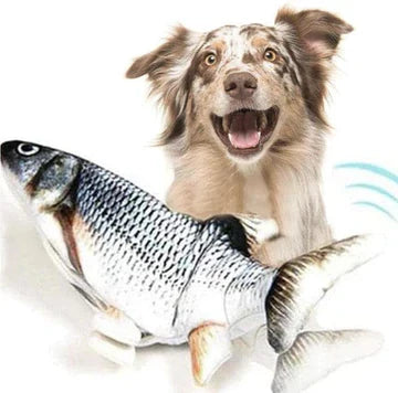 Poisson interactif qui gigote - Jouet pour chien