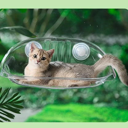 Fenêtre Bol Chats