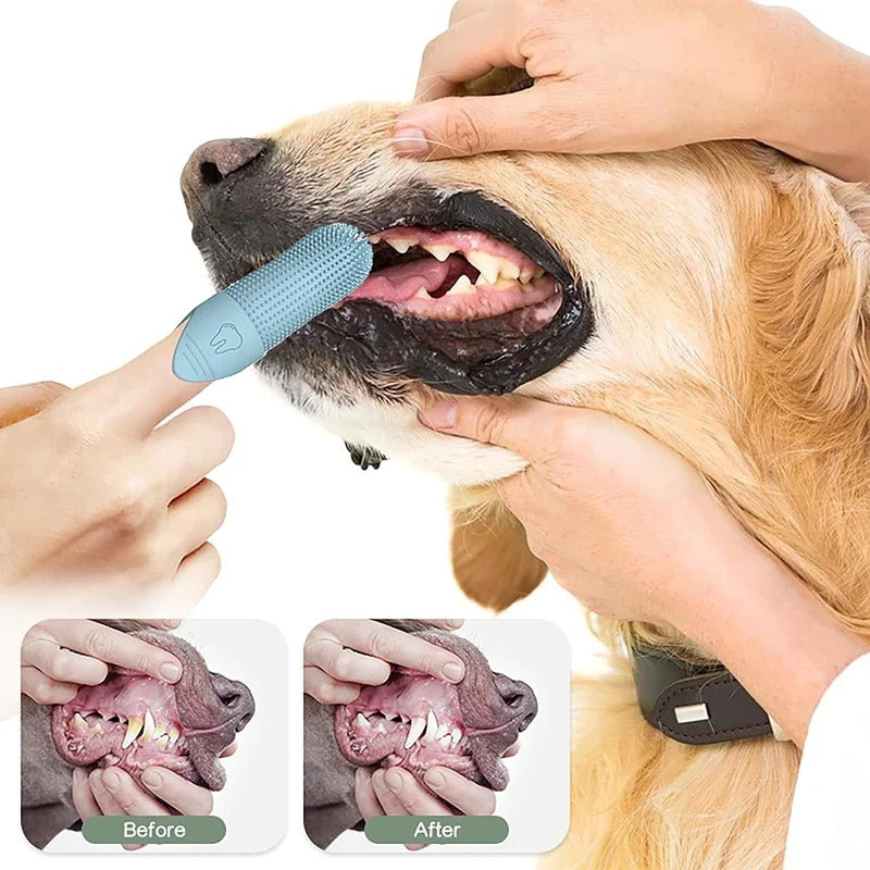 Brosse Doigt 360° Chien TYLNA